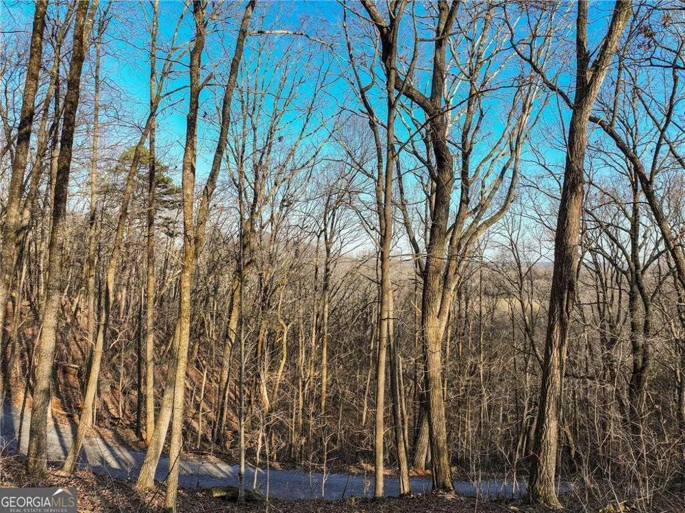 LOT 3 Mount Mincie RD Murrayville, GA 30564