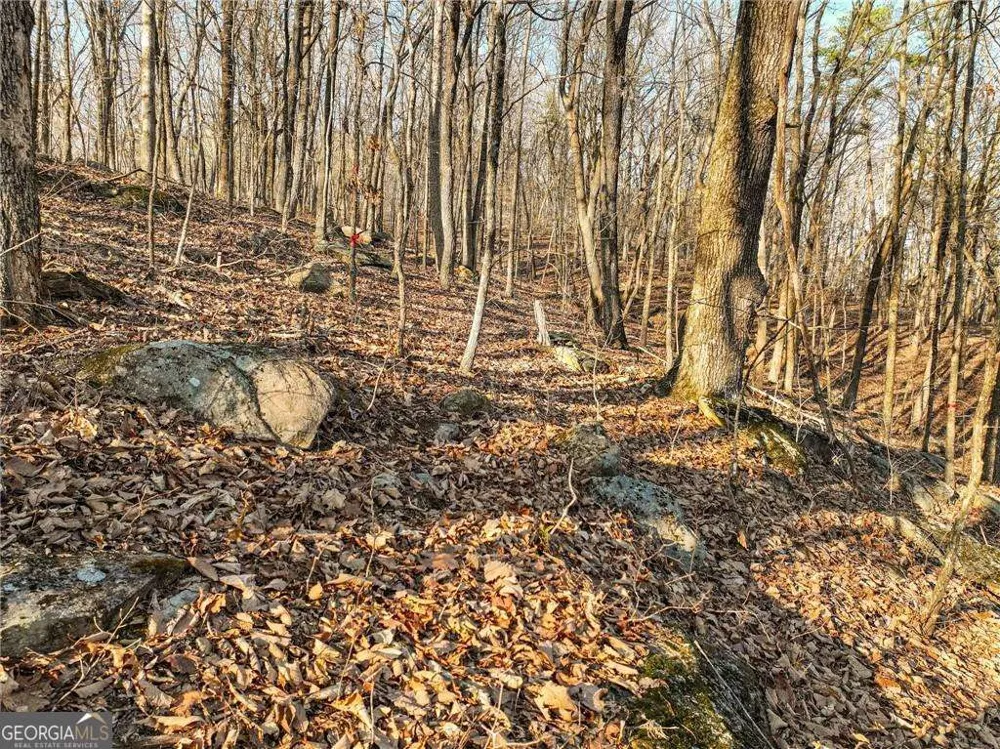 LOT 3 Mount Mincie RD Murrayville, GA 30564