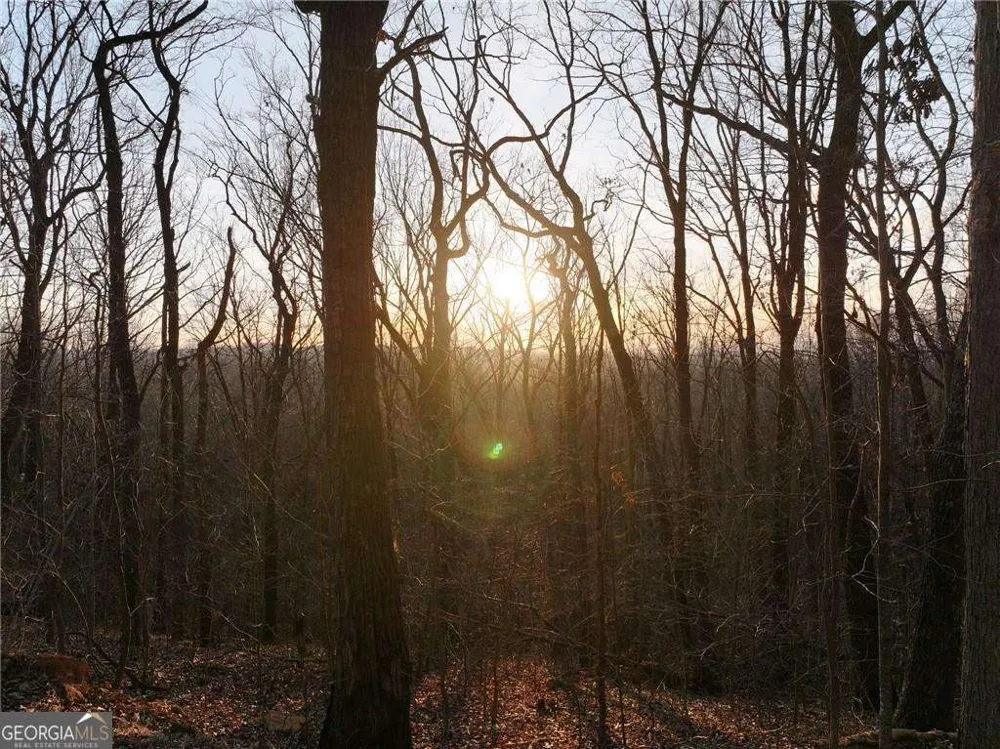 LOT 3 Mount Mincie RD Murrayville, GA 30564