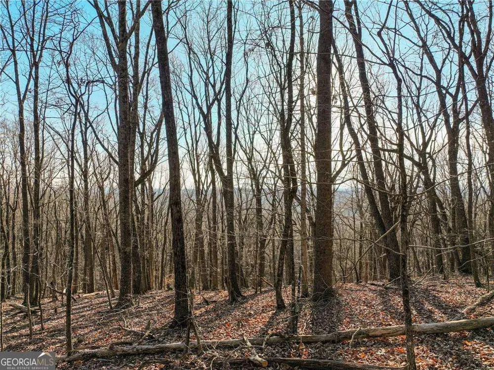 LOT 3 Mount Mincie RD Murrayville, GA 30564