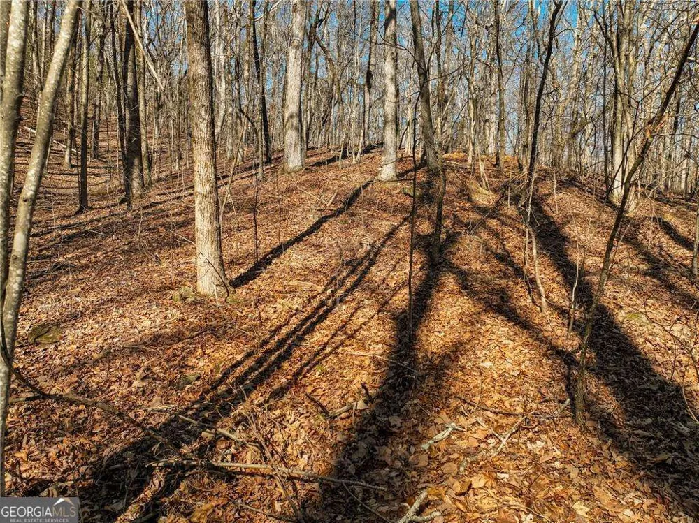 LOT 6 Mount Mincie RD Murrayville, GA 30564