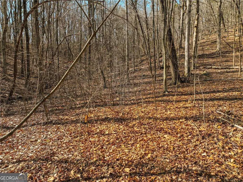 LOT 6 Mount Mincie RD Murrayville, GA 30564