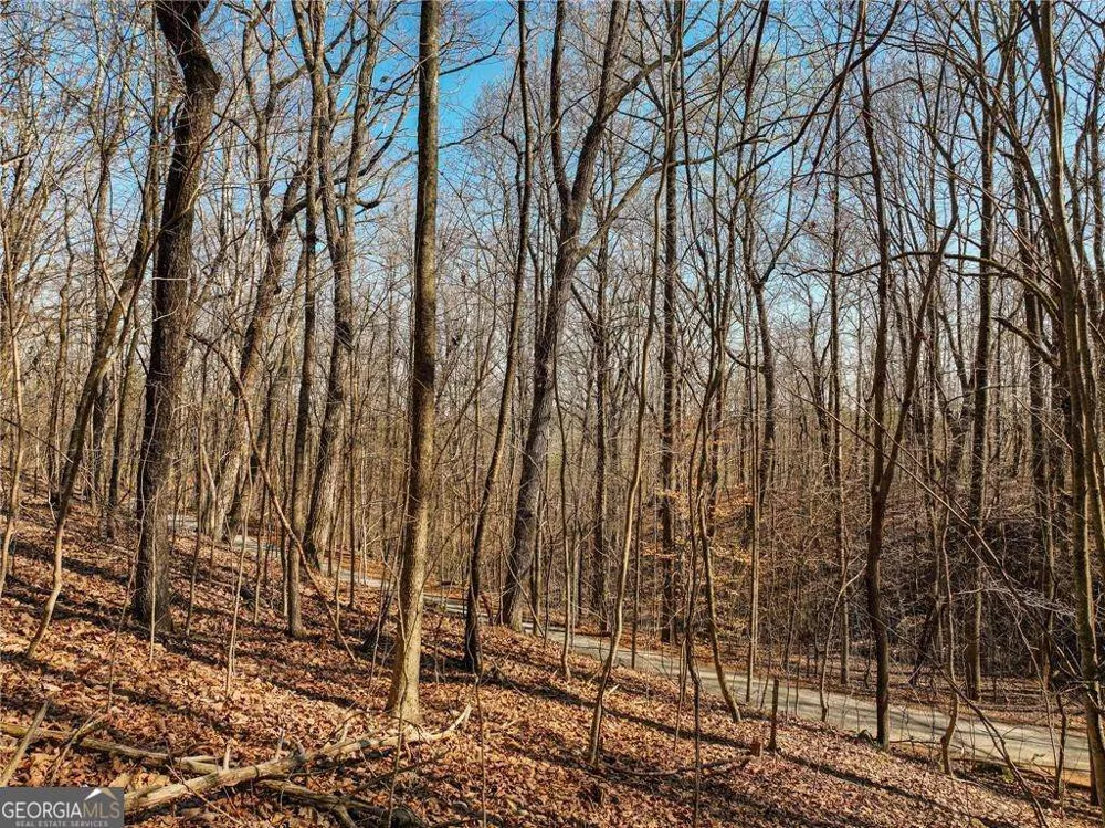LOT 6 Mount Mincie RD Murrayville, GA 30564