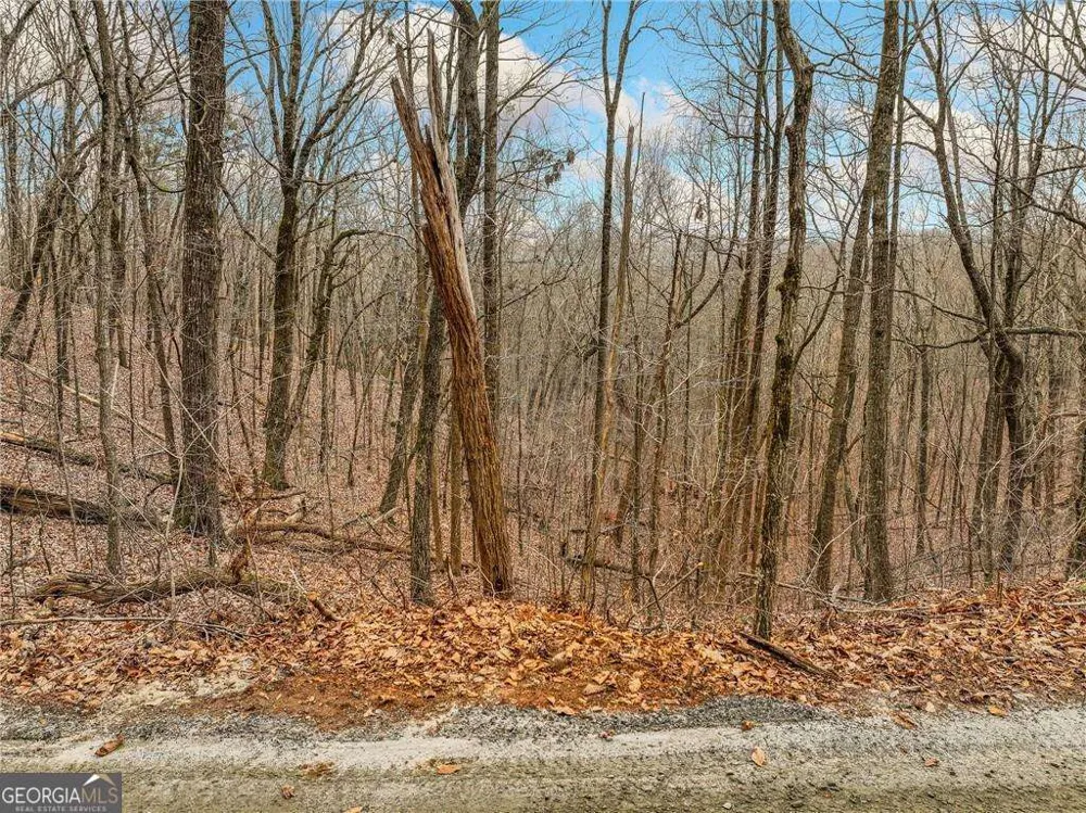 LOT 6 Mount Mincie RD Murrayville, GA 30564