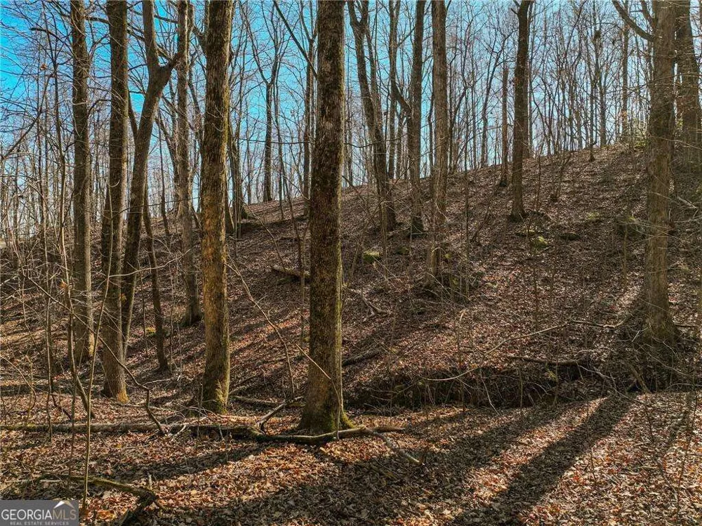 LOT 6 Mount Mincie RD Murrayville, GA 30564
