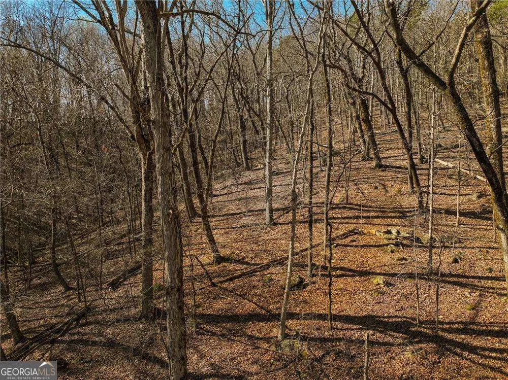 LOT 6 Mount Mincie RD Murrayville, GA 30564
