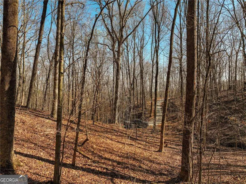 LOT 6 Mount Mincie RD Murrayville, GA 30564