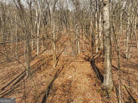 LOT 6 Mount Mincie RD