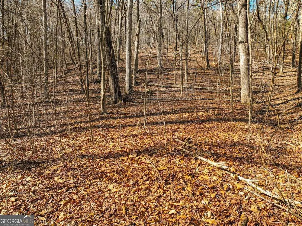 LOT 6 Mount Mincie RD Murrayville, GA 30564