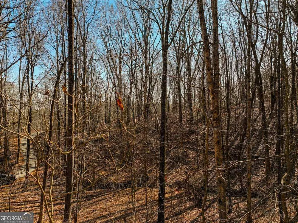 LOT 6 Mount Mincie RD Murrayville, GA 30564