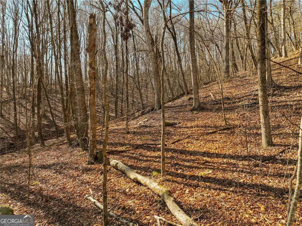 LOT 6 Mount Mincie RD Murrayville, GA 30564