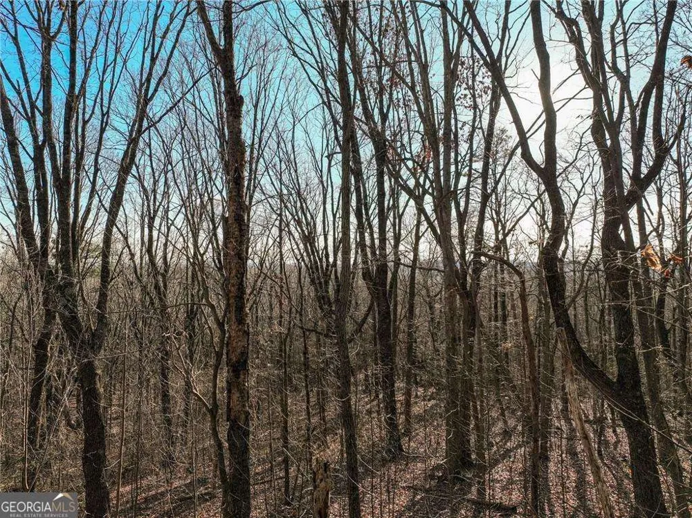 LOT 4 Mount Mincie RD Murrayville, GA 30564