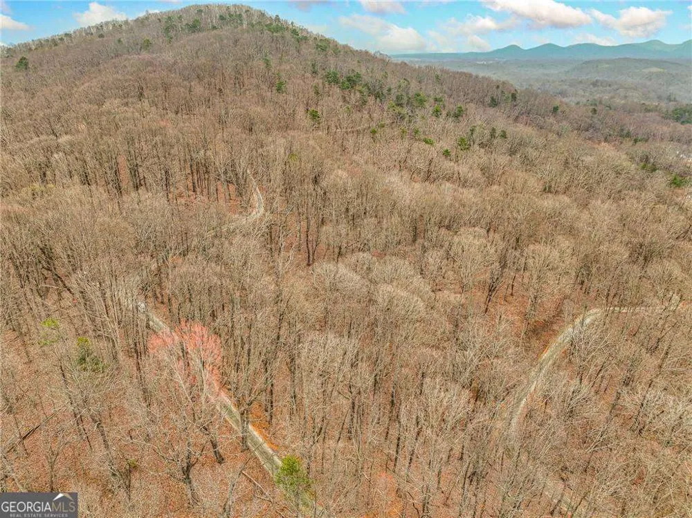 LOT 4 Mount Mincie RD Murrayville, GA 30564