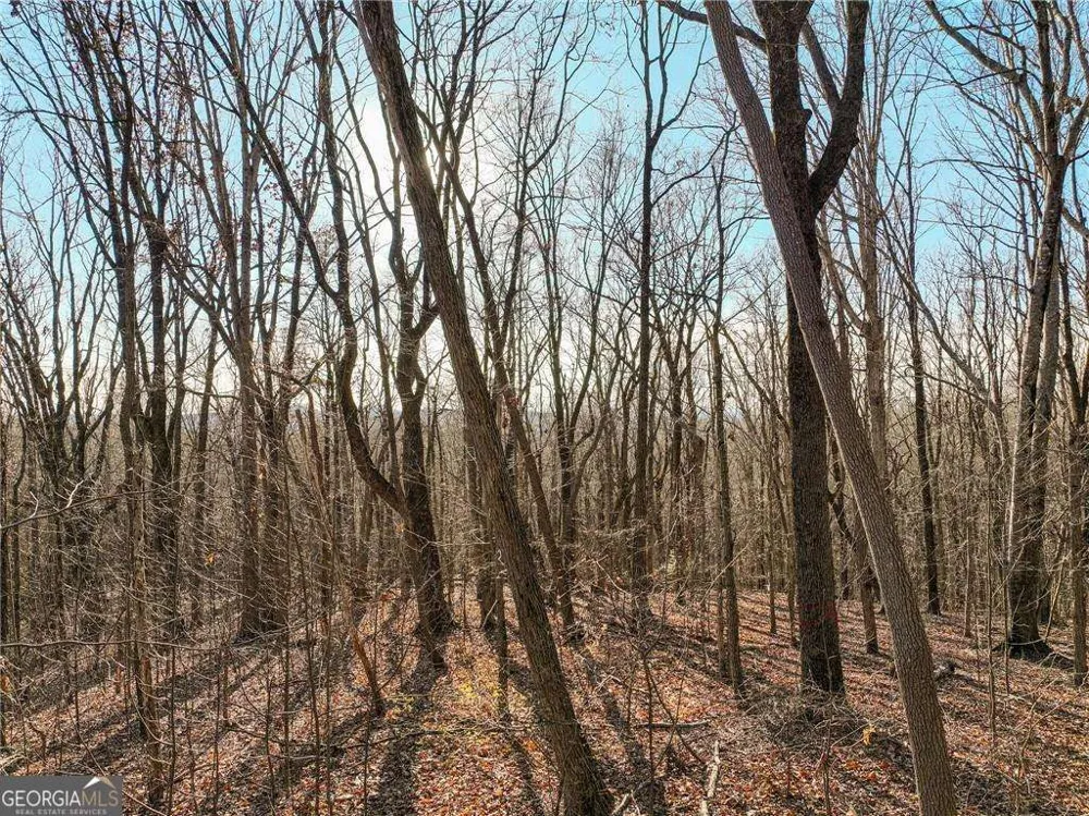 LOT 4 Mount Mincie RD Murrayville, GA 30564