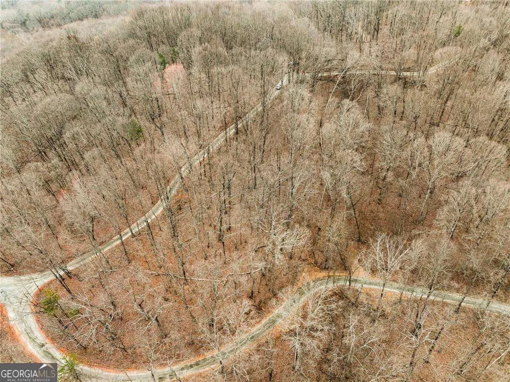 LOT 4 Mount Mincie RD Murrayville, GA 30564