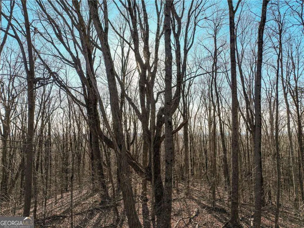 LOT 4 Mount Mincie RD Murrayville, GA 30564