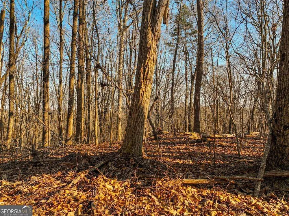 LOT 4 Mount Mincie RD Murrayville, GA 30564