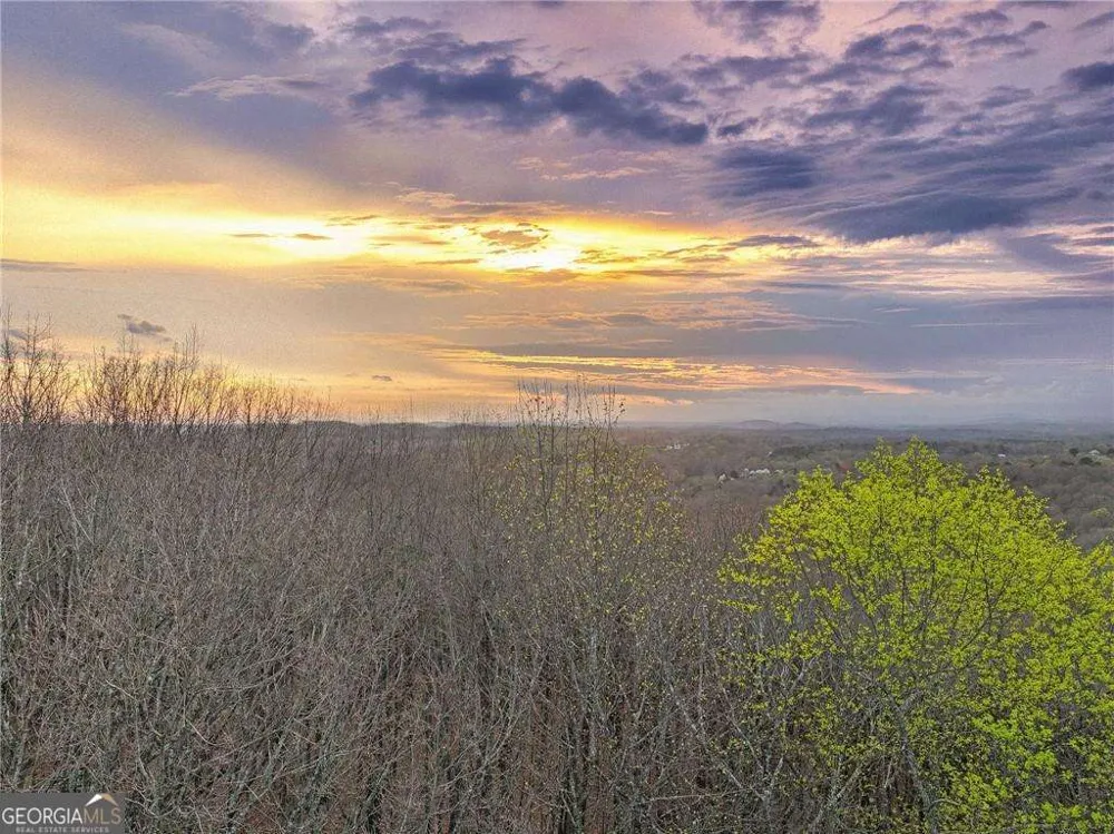 LOT 4 Mount Mincie RD Murrayville, GA 30564