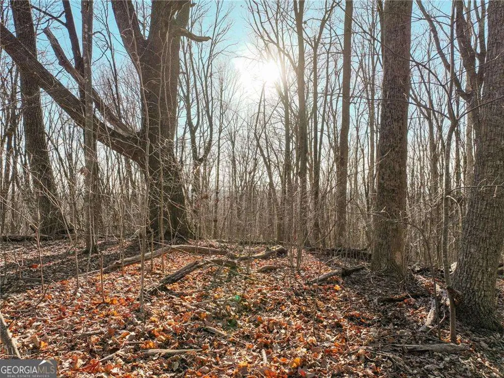 LOT 4 Mount Mincie RD Murrayville, GA 30564