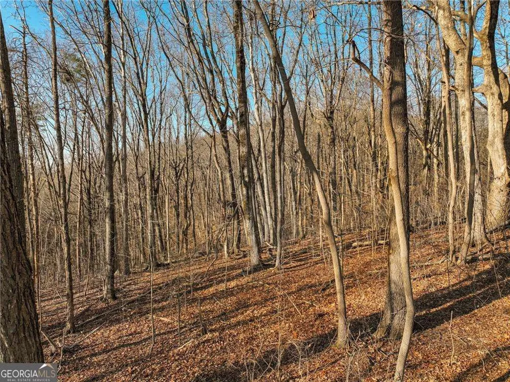 LOT 4 Mount Mincie RD Murrayville, GA 30564