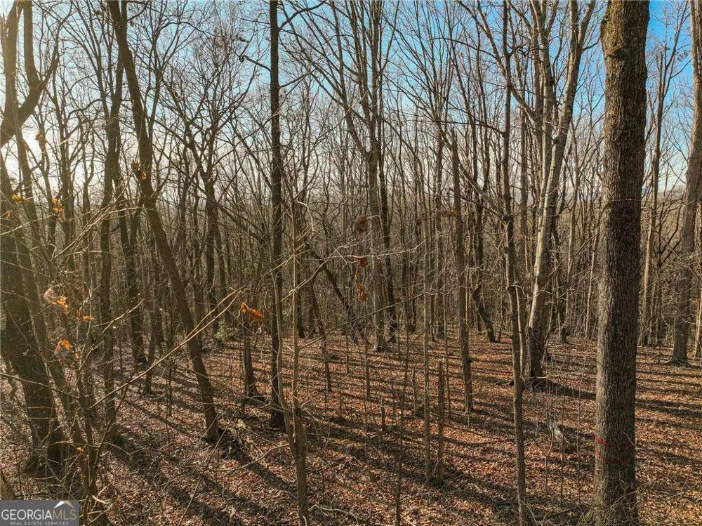 LOT 4 Mount Mincie RD Murrayville, GA 30564