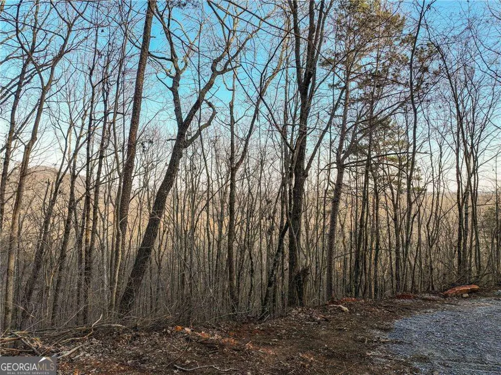 LOT 7 Mount Mincie RD Murrayville, GA 30564