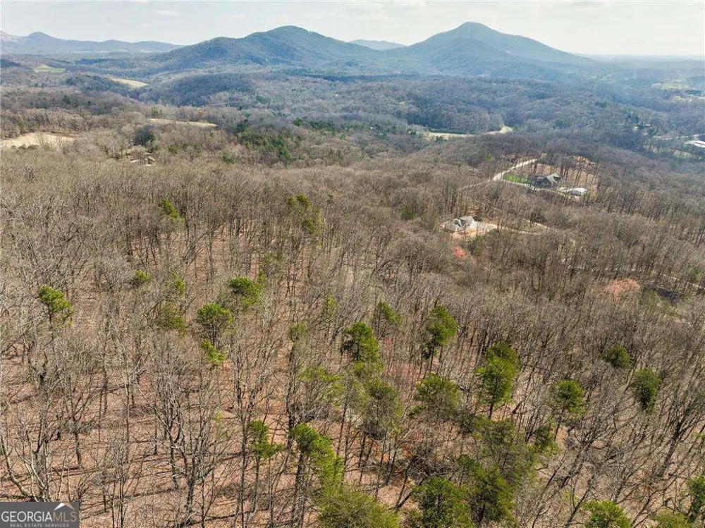LOT 7 Mount Mincie RD Murrayville, GA 30564