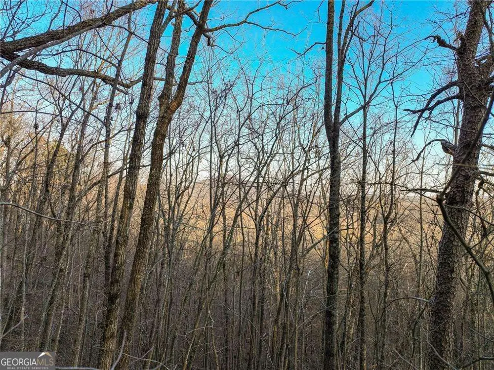 LOT 7 Mount Mincie RD Murrayville, GA 30564