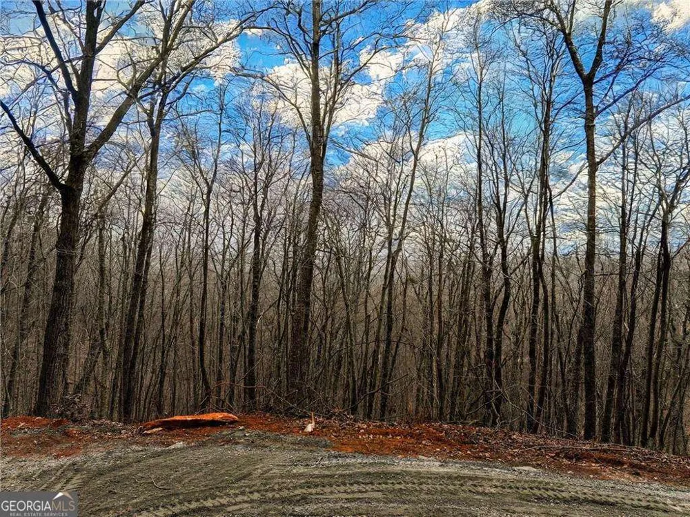 LOT 7 Mount Mincie RD Murrayville, GA 30564