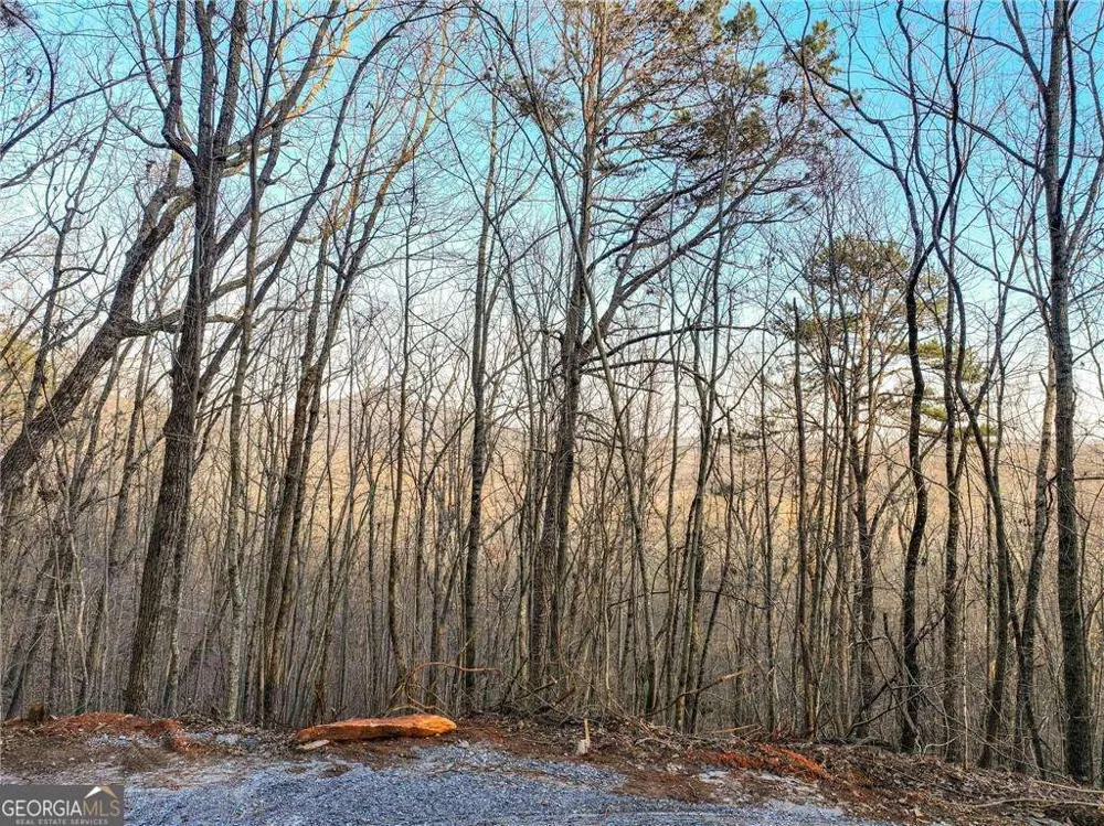 LOT 7 Mount Mincie RD Murrayville, GA 30564