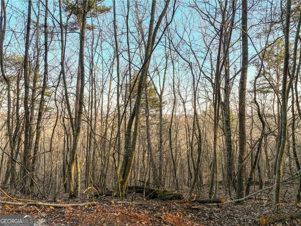 LOT 7 Mount Mincie RD Murrayville, GA 30564