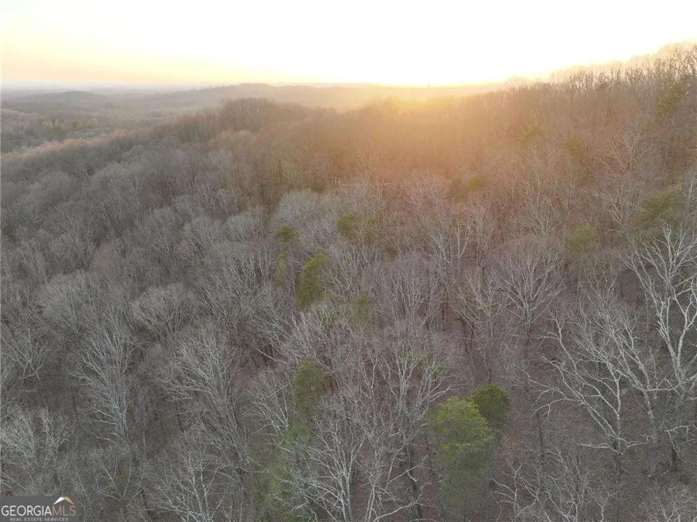 LOT 7 Mount Mincie RD Murrayville, GA 30564