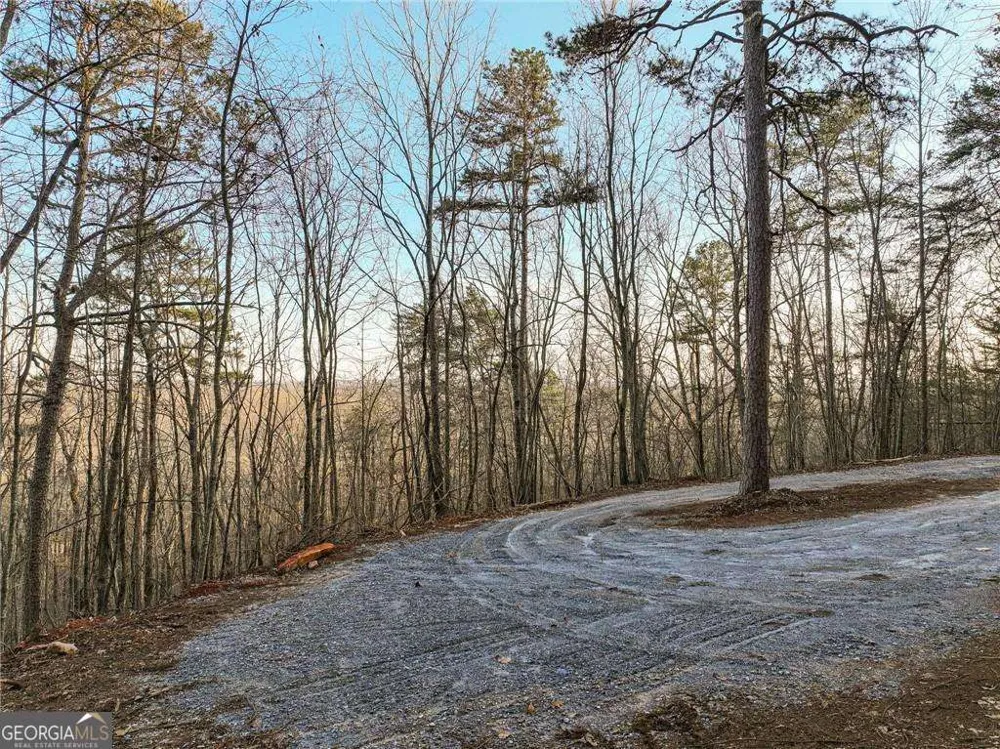 LOT 7 Mount Mincie RD Murrayville, GA 30564