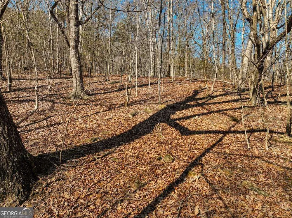 LOT 8 Mount Mincie RD Murrayville, GA 30564