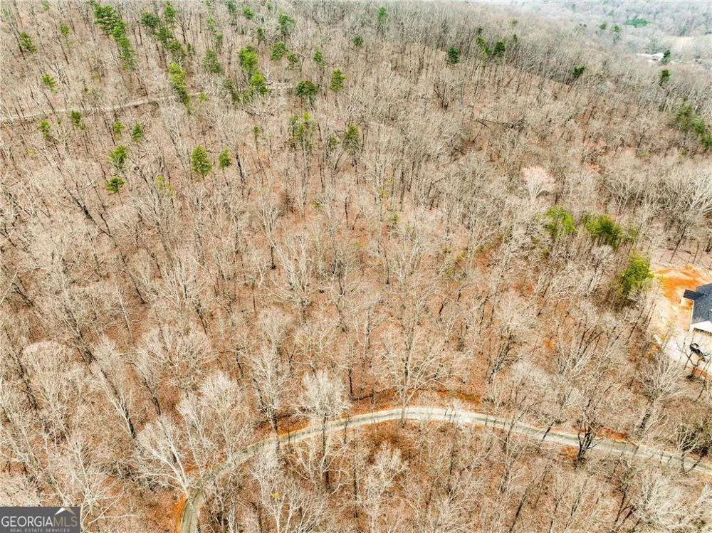 LOT 8 Mount Mincie RD Murrayville, GA 30564