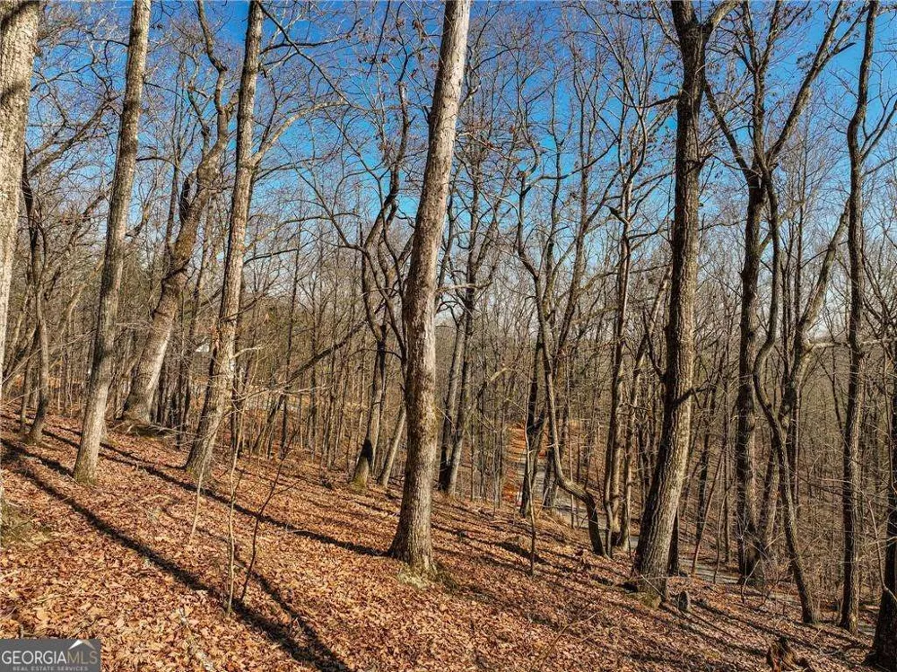 LOT 8 Mount Mincie RD Murrayville, GA 30564