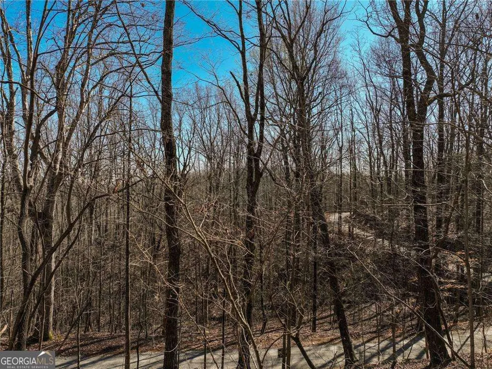 LOT 8 Mount Mincie RD Murrayville, GA 30564