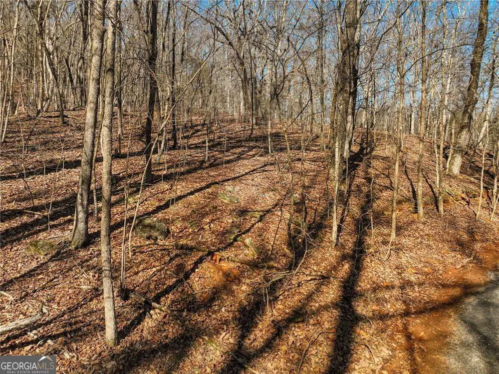 LOT 8 Mount Mincie RD Murrayville, GA 30564
