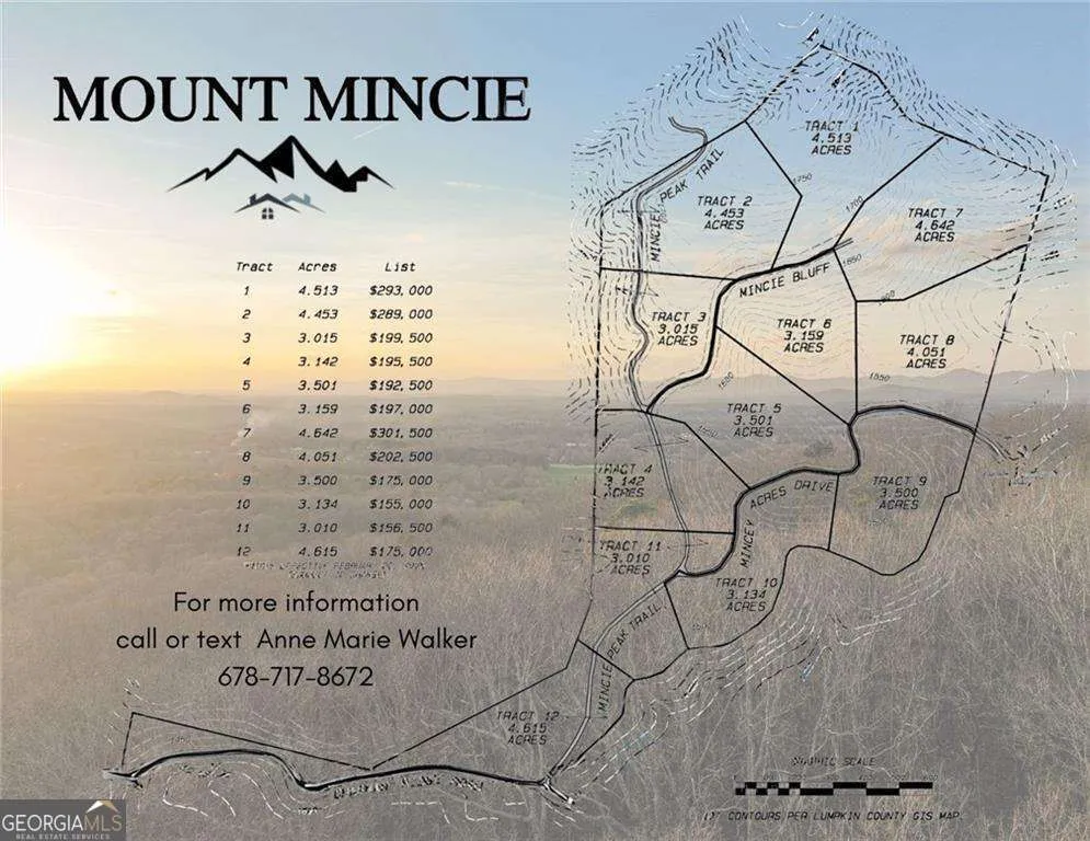 LOT 8 Mount Mincie RD Murrayville, GA 30564