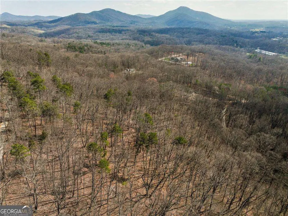 LOT 8 Mount Mincie RD Murrayville, GA 30564