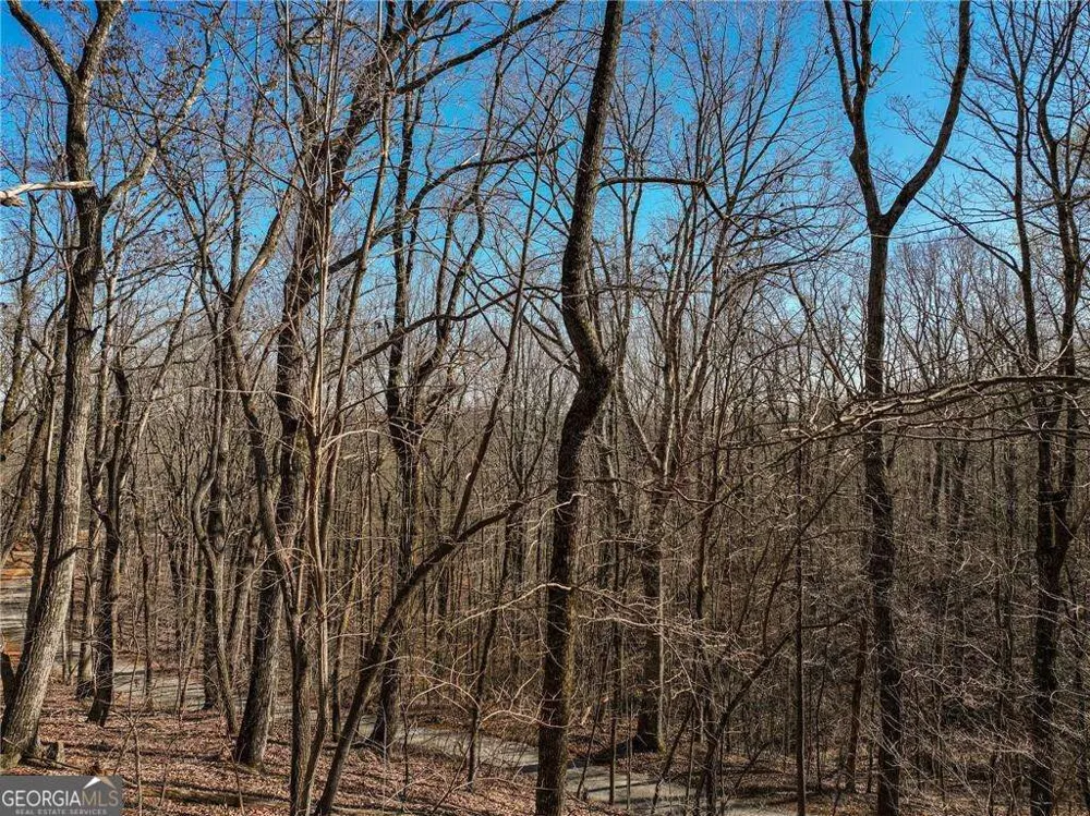 LOT 8 Mount Mincie RD Murrayville, GA 30564