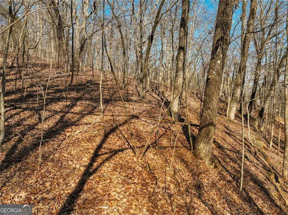 LOT 8 Mount Mincie RD Murrayville, GA 30564