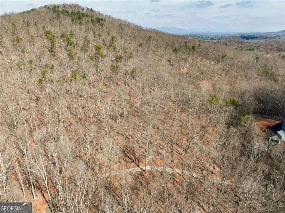 LOT 8 Mount Mincie RD Murrayville, GA 30564