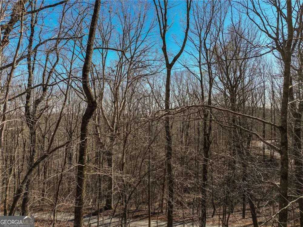 LOT 8 Mount Mincie RD Murrayville, GA 30564