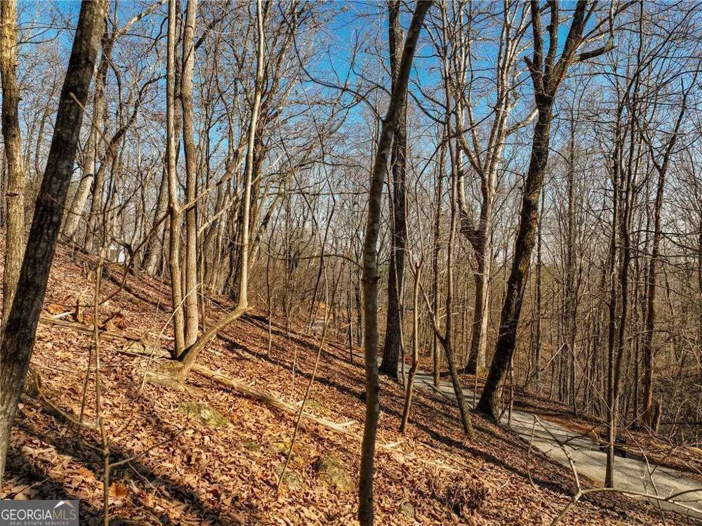 LOT 8 Mount Mincie RD Murrayville, GA 30564