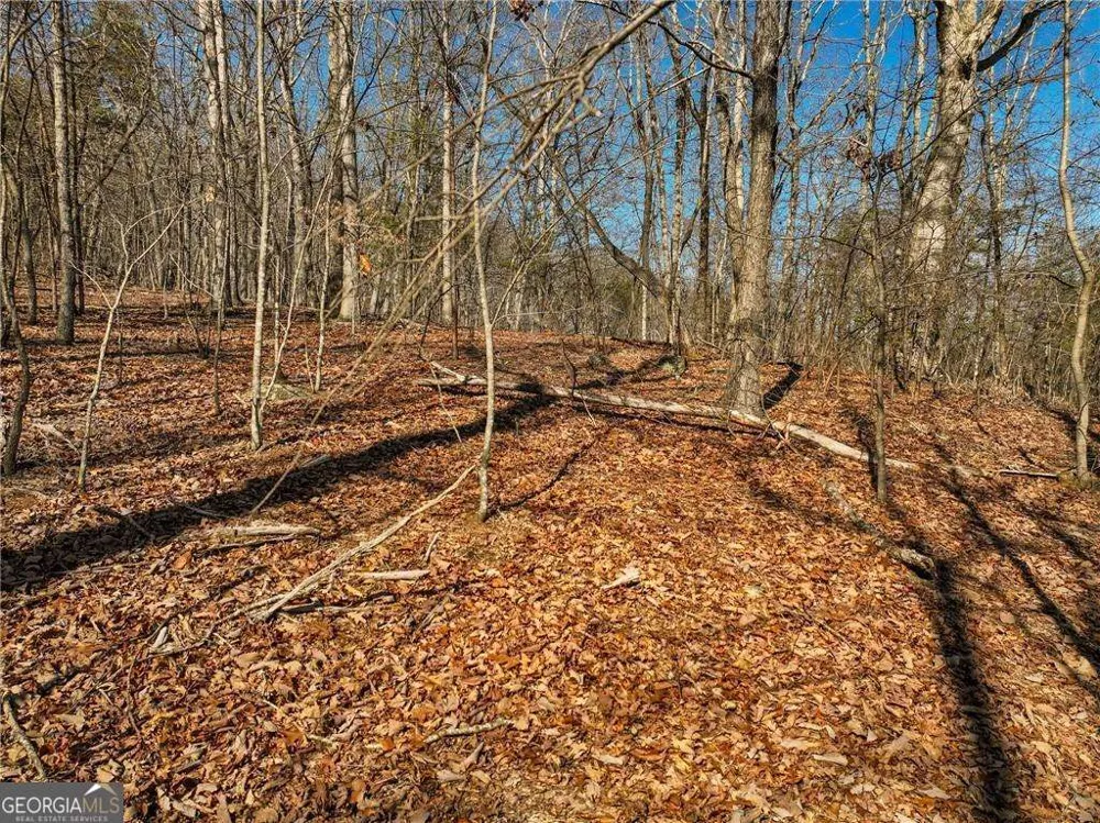LOT 8 Mount Mincie RD Murrayville, GA 30564