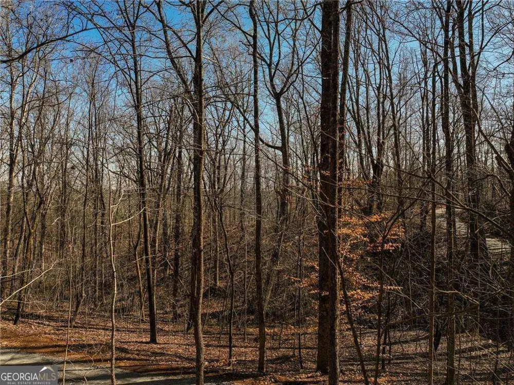 LOT 8 Mount Mincie RD Murrayville, GA 30564