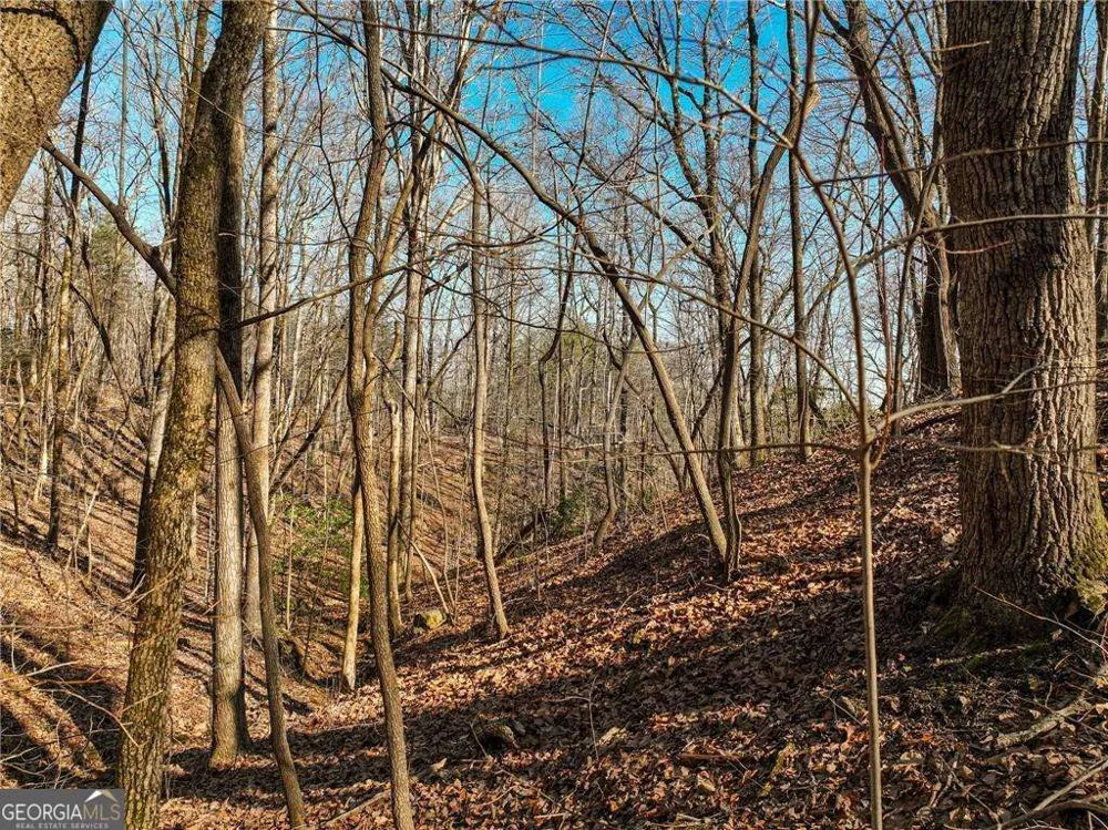 LOT 9 Mount Mincie RD Murrayville, GA 30564