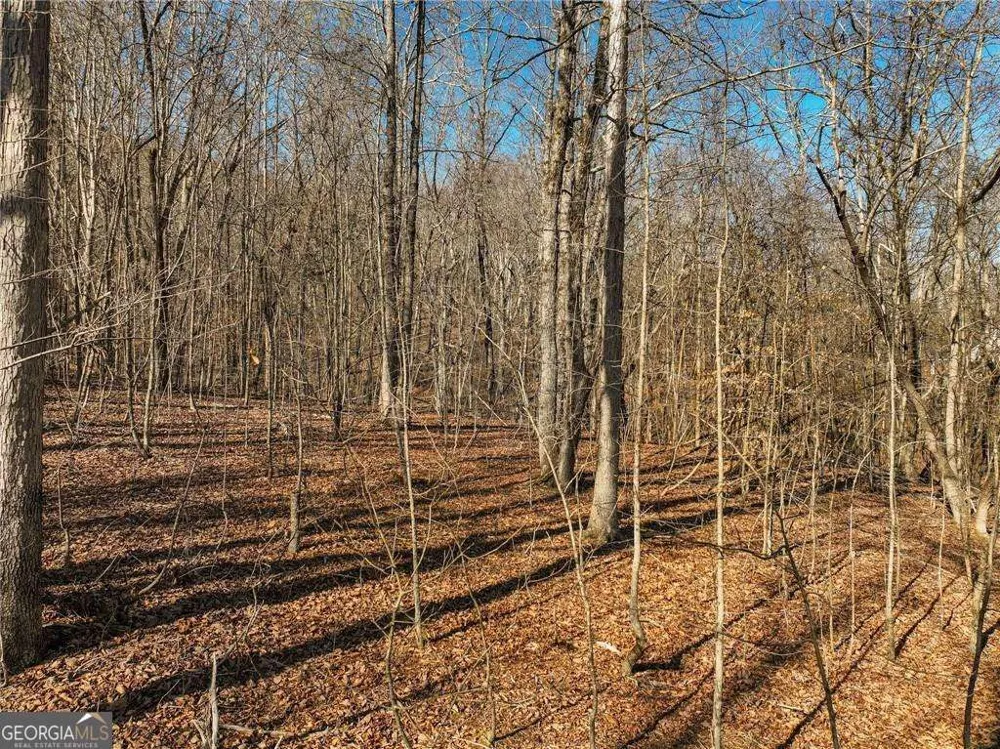 LOT 9 Mount Mincie RD Murrayville, GA 30564