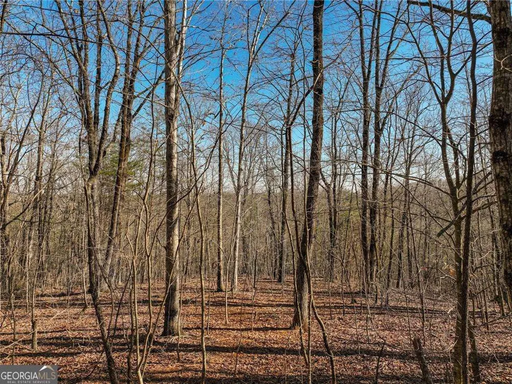 LOT 9 Mount Mincie RD Murrayville, GA 30564